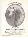 ittners arabian horses 1972 syccessor right on equestrian vintage ad