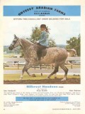 odyessy arabian farm 1972 hillcrest handean bay-rabus horse vintage ad odyessy arabian farm 1972 hillcrest handean bay-rabus horse vintage ad
