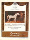 lancer arabians 1972 sotep raffles stud equestrian horse vintage ad lancer arabians 1972 sotep raffles stud equestrian horse vintage ad