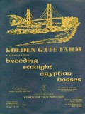golden gate farm 1972 stud breeding straight egyptian horse vintage ad