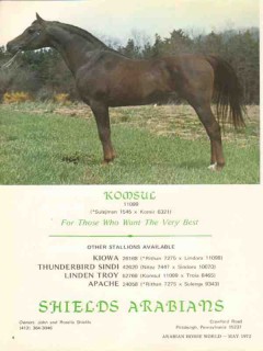 shields arabians 1972 komsul sulejman komir equestrian stud vintage ad