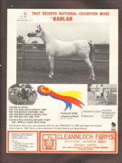 gleannloch farms 1972 nahlah morafic mohgah arabian horse vintage ad