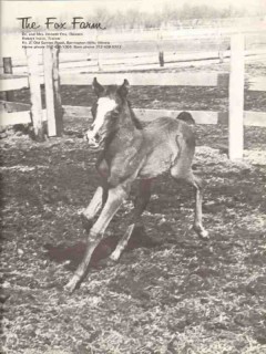the fox farm 1972 robert irwin barrington hills il horse vintage ad