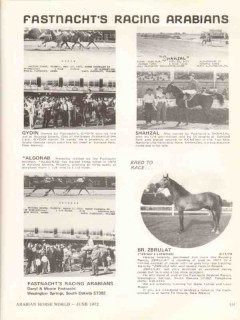 fastnachts racing arabians 1972 gydin shahzal algorab horse vintage ad