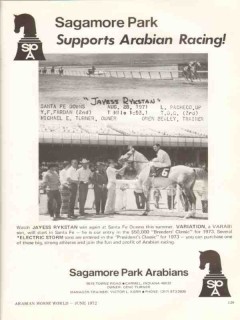 sagamore park arabians 1972 jayess rykstan racing horse vintage ad