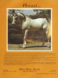 deer run farm 1972 amaal andrew sziraky gleannloch horse vintage ad