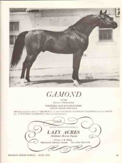 lazy acres arabian horse farm 1972 gamond aramus dalul stud vintage ad lazy acres arabian horse farm 1972 gamond aramus dalul stud vintage ad
