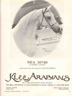 Klee Arabians 1972 Nea JLR Yeaneyn Naborr Ziinda stud horse vintage ad