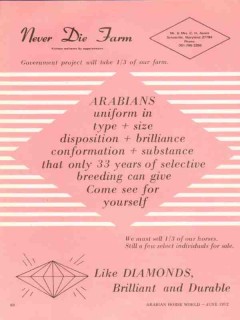 Never Die Farm 1972 government project breeding stud horse vintage ad