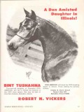 Robert N Vickers 1972 Bint Tushahna Don Amistad stud horse vintage ad
