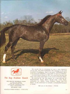 keg arabian ranch 1972 silver fashion tornado aegina horse vintage ad