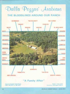 dalla pozzas arabians 1972 bloodlines ranch stud equestrian vintage ad