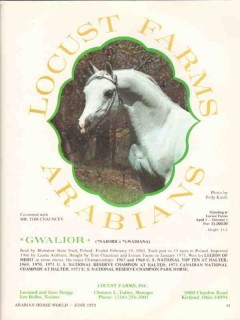 locust farms 1972 gwalior naborr gwadiana stud equestrian vintage ad