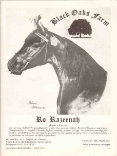 black oaks farm 1972 ro razeenah raseyn arabian horse stud vintage ad