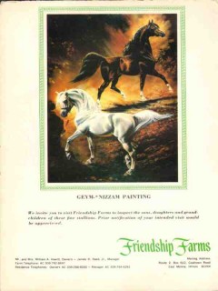 friendship farms 1972 geym nizzam arabian stud horse color vintage ad