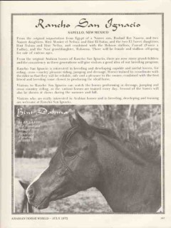rancho san ignacio 1972 bint dahma el sareel arabian horse vintage ad