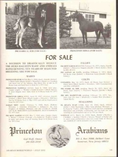 Princeton Arabians 1972 Pri Habib Al Rih Shiga stud horse vintage ad
