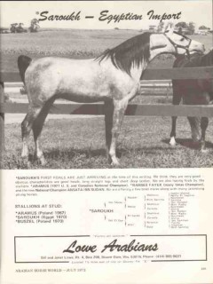 lowe arabians 1972 saroukh egyptian import equestrian horse vintage ad
