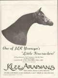 klee arabians 1972 jlr yeaneyn little firecrackers horse vintage ad