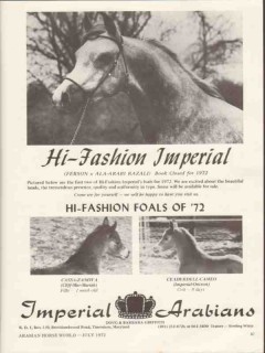 imperial arabians 1972 cassa-zanova ceaderdell-cameo foals vintage ad