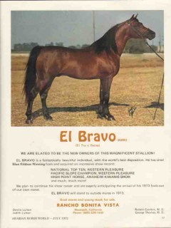 rancho bonita vista 1972 el bravo tio reina arabian horse vintage ad