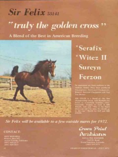 Crown Point Arabians 1972 Sir Felix Serafix stud horse vintage ad