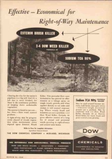 Dow Chemical Company 1950 Vintage Ad Esteron 2-4 Brush Weed Killer