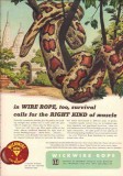 Wickwire Spencer Steel Company 1953 Vintage Ad Oil Rope Resist Gorilla Wickwire Spencer Steel Company 1953 Vintage Ad Oil Rope Resist Gorilla