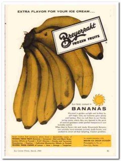 National Dairy Products Corp 1959 Vintage Ad Ice Cream Breyer Banana