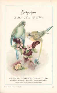 crown staffordshire china company 1952 budgerigars pottery vintage ad