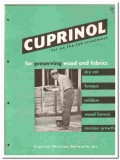Darworth Inc 1949 vintage paint catalog preserve wood fabrics Cuprinol Darworth Inc 1949 vintage paint catalog preserve wood fabrics Cuprinol