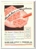Blanke-Baer Extract Preserving Company 1934 vintage ice cream ad slice Blanke-Baer Extract Preserving Company 1934 vintage ice cream ad slice