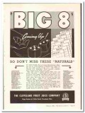 Cleveland Fruit Juice Company 1938 vintage ice cream ad Big 8 naturals