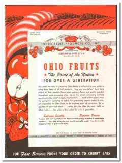 Ohio Fruit Products Company 1948 vintage ice cream ad apples cherries