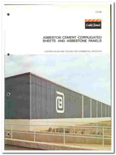 National Gypsum Company 1976 vintage wall catalog Asbestone asbestos